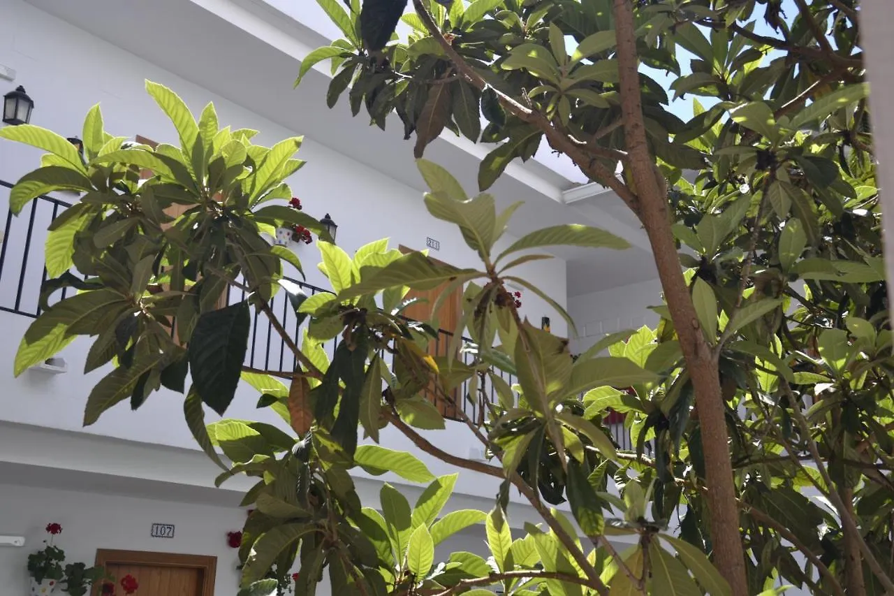 Hotel Oasis Atalaya Conil De La Frontera Spain